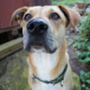 Meet your Posher, Anne